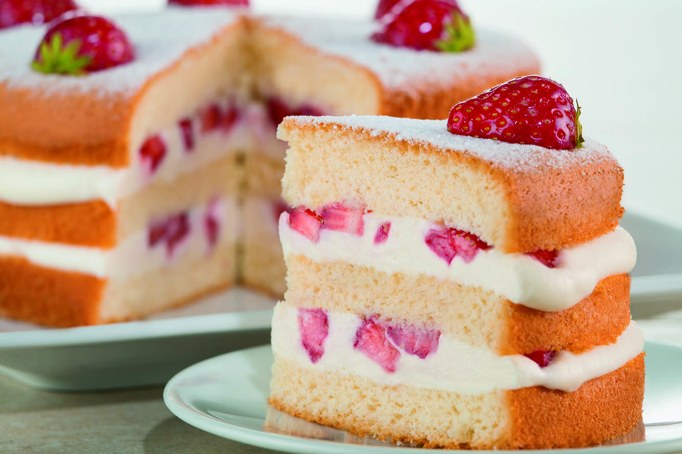 Бисквизит-смесь сухая 1/25 кг